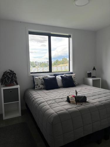 a bedroom with a large bed with a large window at Penny's Drop Inn in Cromwell