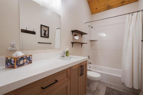 a bathroom with a sink and a toilet and a shower at Cute Cabin with Mountain Views and King Bed in Provo