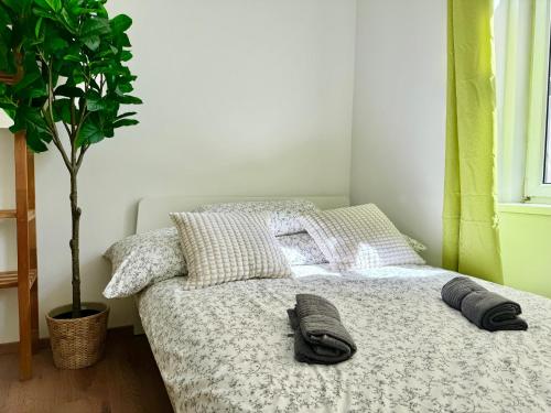 Schönbrunn Cozy Studio