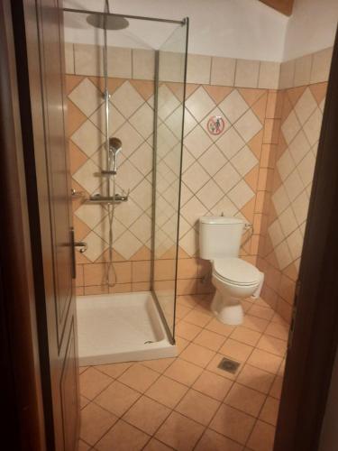 a bathroom with a shower and a toilet at Kefalas Apartments in Parga