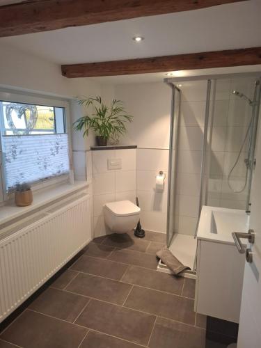a bathroom with a toilet and a shower and a sink at Ferienwohnung Alte Glaserei in Ilsenburg