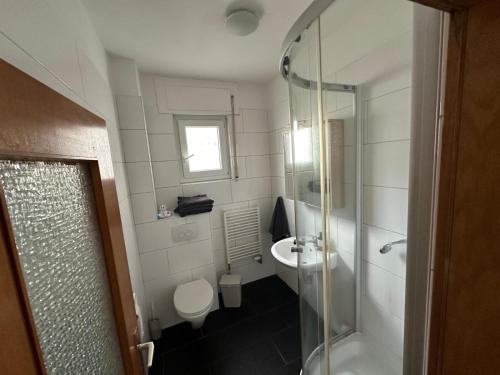 a bathroom with a toilet and a sink and a shower at Frankfurt Airport & Fair Apartment in Kelsterbach