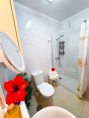 2 BR apartment with garage in Playa Paraiso