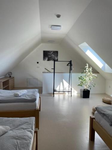 a attic room with two beds and a window at Apartmány U Jeskyní in Sloup