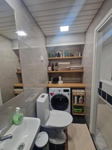 a bathroom with a toilet and a washing machine at Haltijanmetsä in Kotka