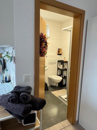 a bathroom with a toilet and a sink with towels at Apartment in Rimpar in Rimpar