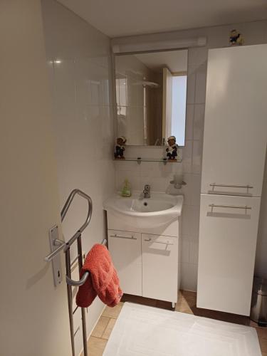 a bathroom with a sink and a mirror at Lozerhof Studio in Kruisem