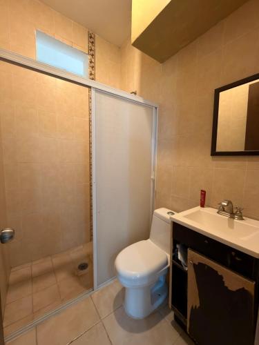 a bathroom with a toilet and a shower and a sink at 20 minutes from Chapala, Pool &Grill in Buenavista