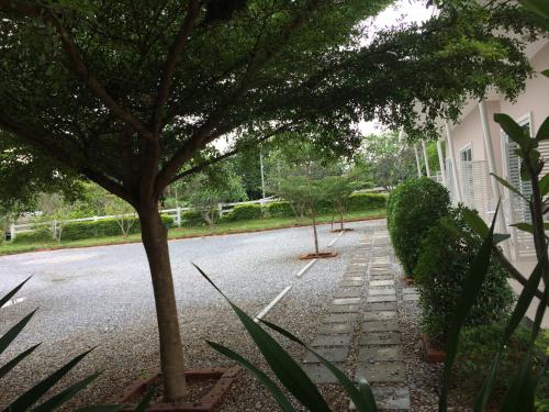 a house with a tree in the middle of a street at Baan Chan Suan in Nong Nam Daeng