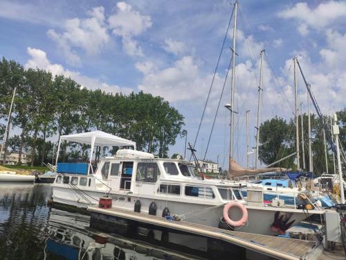 biała łódź jest zadokowana przy nabrzeżu w obiekcie Bateau MAXENCE w mieście Ouistreham