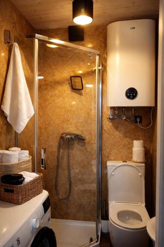 a bathroom with a shower with a toilet and a sink at Wisla66 Domki nad Wisłą Piotrawin in Piotrawin
