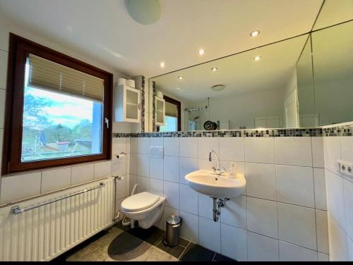 a bathroom with a toilet and a sink and a mirror at Molers in Stühlingen