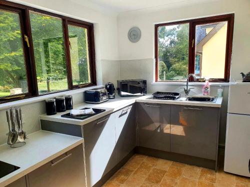 a kitchen with stainless steel appliances and two windows at Rosecraddoc Manor - Riverbank in Saint Cleer