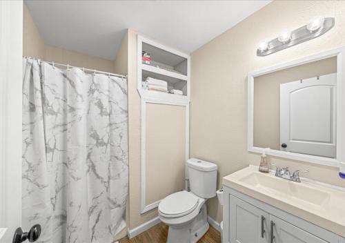 a bathroom with a toilet and a sink and a mirror at Bird House Pet-Friendly Studio, near Dollywood in Pigeon Forge