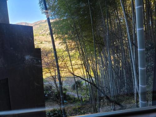 a view of a forest from a window at 河津町天川旅館 in Shimo-sagano