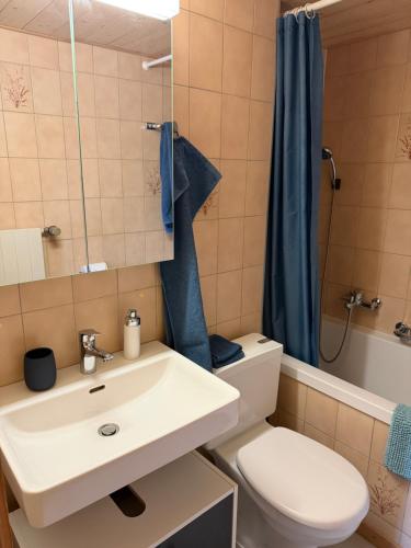 a bathroom with a sink and a toilet and a shower at Gemütliches Studio im Zentrum in Evolène