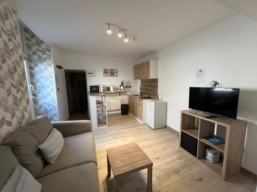 ein Wohnzimmer mit Sofa und eine Küche in der Unterkunft Le Cocon - studio Centre ville tout équipé in Bourges