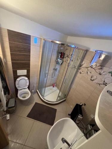 a bathroom with a shower and a sink and a toilet at Chata Anežka in Stará Ves