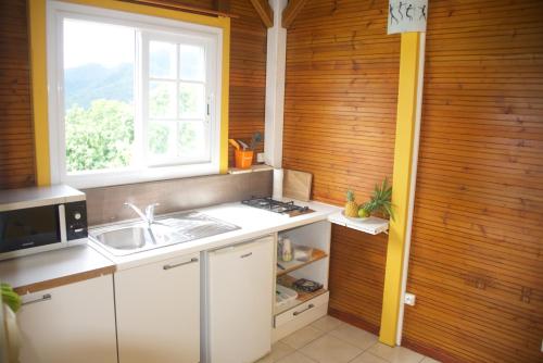 三河市Gites Chez Marie Christine的带水槽和窗户的厨房