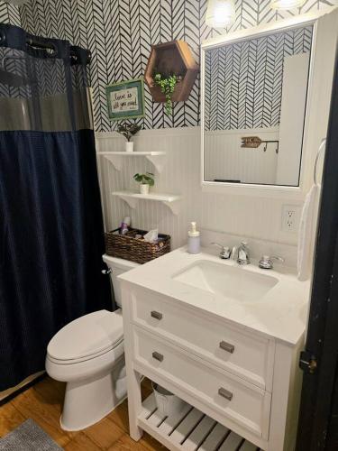 a bathroom with a sink and a toilet and a mirror at Cozy Cabin 2 beds Mtn view in Franklin