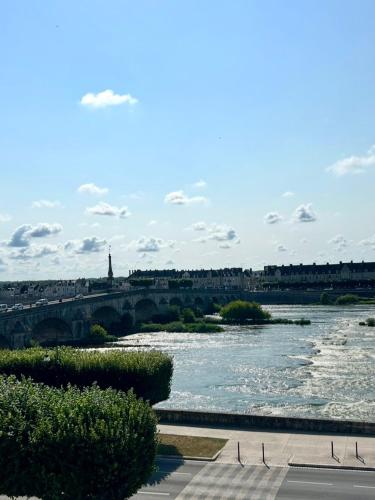 Appartement vue sur Loire