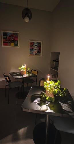 Philosofia photo 88