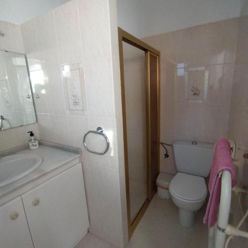 a small bathroom with a toilet and a sink at Cedra 5, Holiday home, cosy apartment in Turre