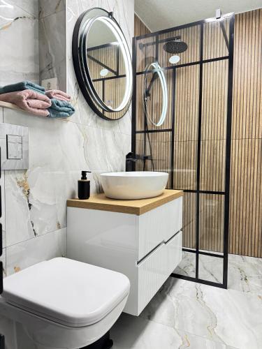a bathroom with a white sink and a mirror at Riverside Apartment in Lugoj