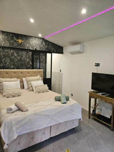 a bedroom with a large bed and a flat screen tv at hébergement privée Jaccuzzi en supplément in Saint-Clair-du-Rhône