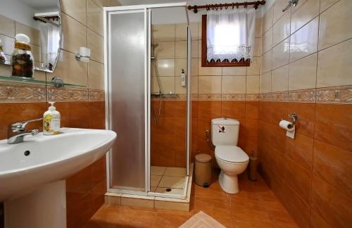 a bathroom with a shower and a sink and a toilet at Anatoli Villa in Steni Vala Alonissos