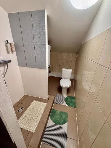 a small bathroom with a toilet in a room at Perlos Apartamentai 12 in Birštonas