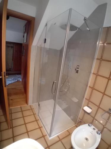 a bathroom with a shower and a toilet at Il quattordici in Rimasco