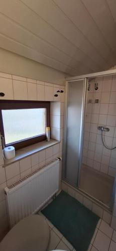 a bathroom with a shower and a toilet and a window at Donaublick Möhringen in Tuttlingen