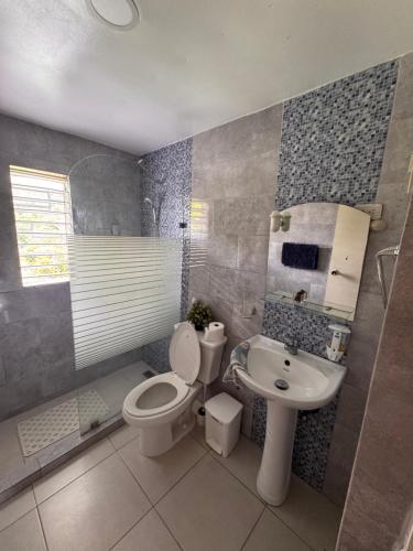 a bathroom with a toilet and a sink at Casa de campo El Bonao in Higuey