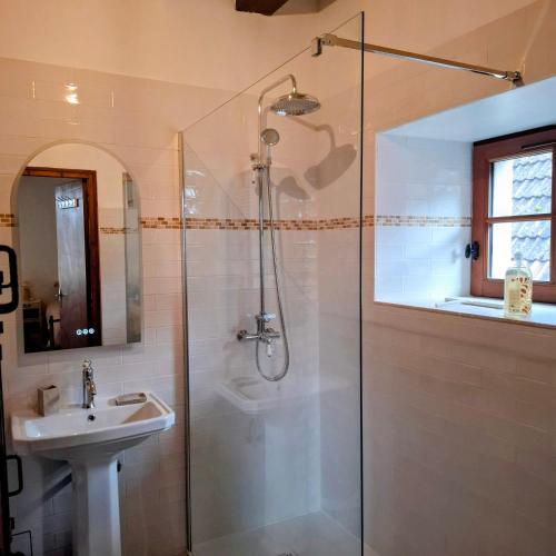 a bathroom with a shower and a sink at Le Lion de Brenne in Vendoeuvres