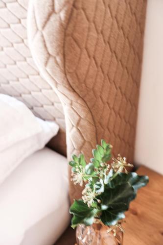 a plant on a table next to a bed at Hotel Geisler Tulfes in Tulfes