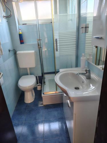a bathroom with a toilet and a sink and a shower at Apartmani Barba Sevid in Sevid