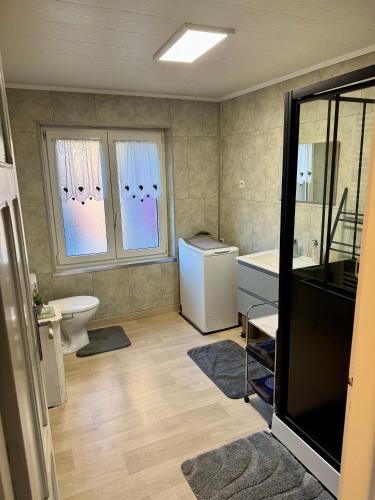a bathroom with a sink and a toilet and windows at gite de plaisance in Lagarde