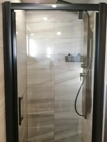 a shower with a glass door in a bathroom at Apartment Grey in Mandre