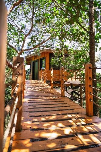 The Grand Forest Jarabacoa