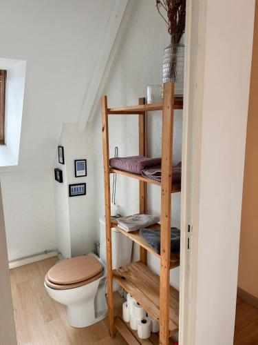 Duplex proche centre ville في رين: حمام مزود بمرحاض في غرفة الدرج