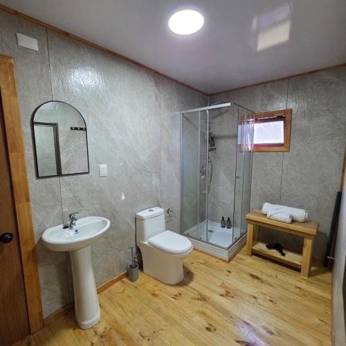 a bathroom with a toilet and a sink and a shower at Cabaña 2 - Rancho Doble AA in La Junta