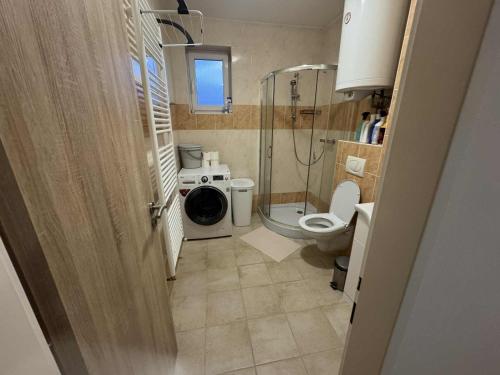 a small bathroom with a shower and a toilet at Apartmán Adam in Dolní Moravice