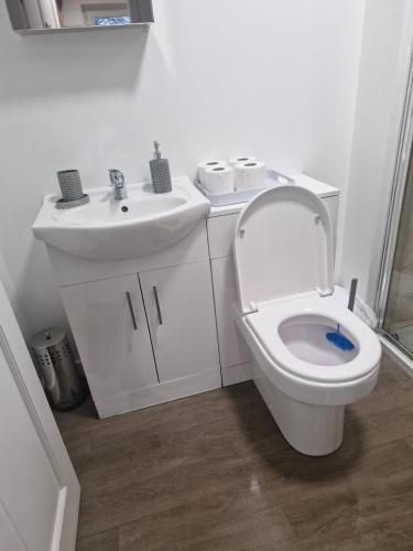a white bathroom with a toilet and a sink at Cosy Private Flat - Pet Friendly in Kirriemuir
