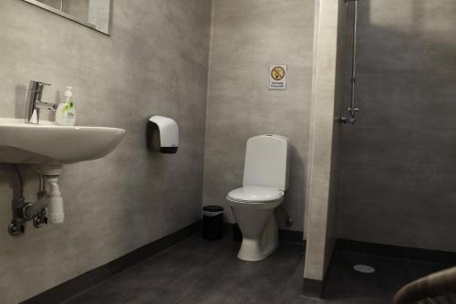 a bathroom with a toilet and a sink at Vandrarhemmet Eken in Eksjö