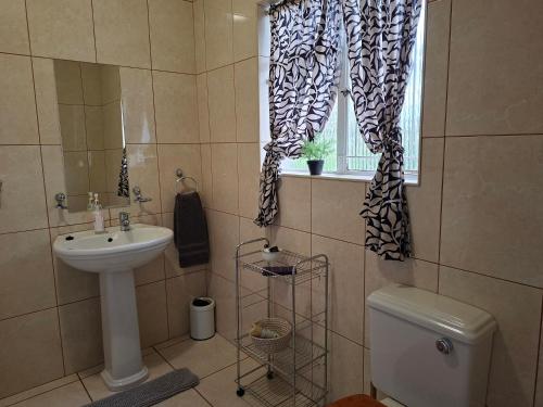 a bathroom with a sink and a toilet and a window at 1-On-Scott Garden Suites in Somerset East