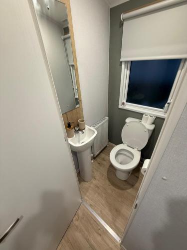 a bathroom with a toilet and a sink at The Ellerton at Eyemouth in Eyemouth