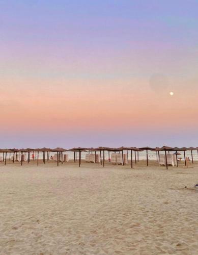 Grand appartement bord de mer refait à neuf 3 chambres