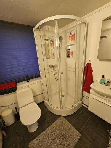 a bathroom with a shower and a toilet and a sink at Salhusvegen in Bergen