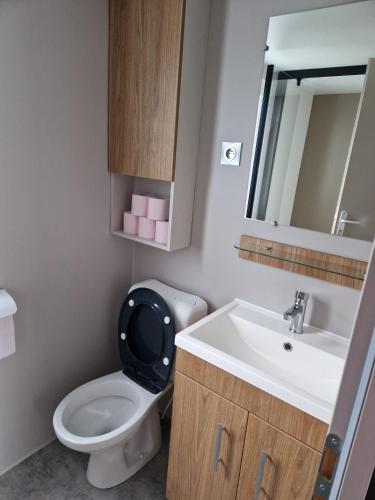 a bathroom with a toilet and a sink and a mirror at Lac des rêves in Lattes